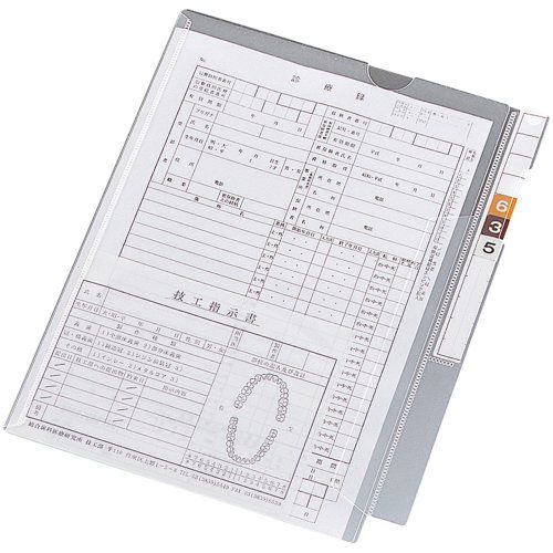 新品 リヒトラブ カルテフォルダー フラップ付 A4 シングル 100枚入 HK2001