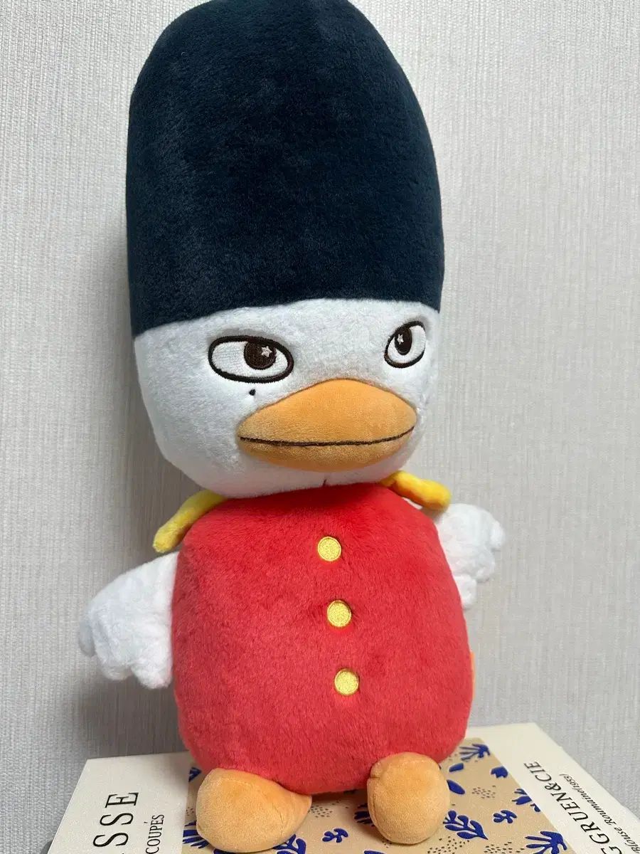 RIIZE SOHEE ソヒ トルビョン ライズ　中国限定 抱きまくら RIIZE（ライズ） ソヒ(SOHEE) IN ぬいぐるみ 40cm 【公式通販】