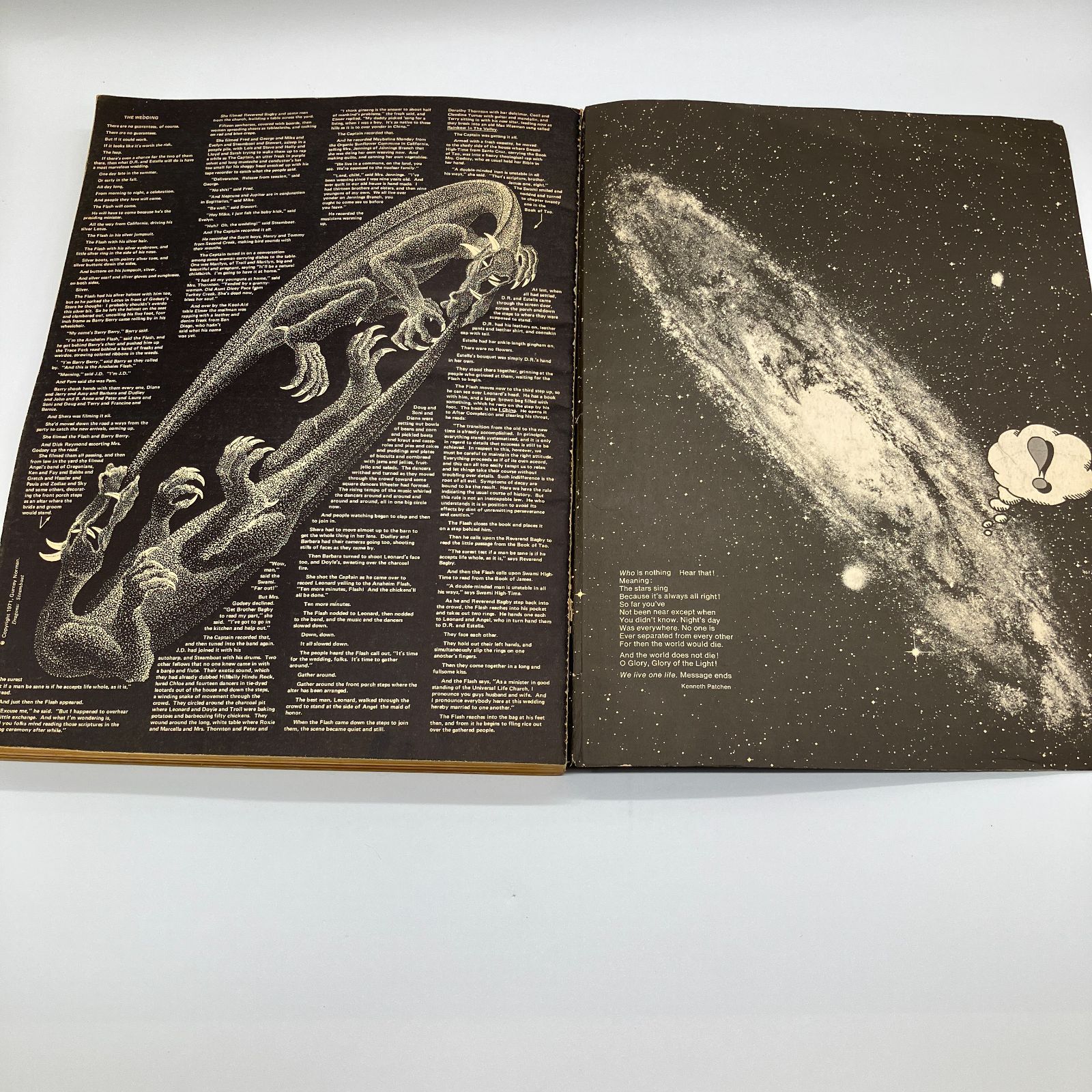 1971年 ラストホールアースカタログ 全地球カタログ The Last Whole