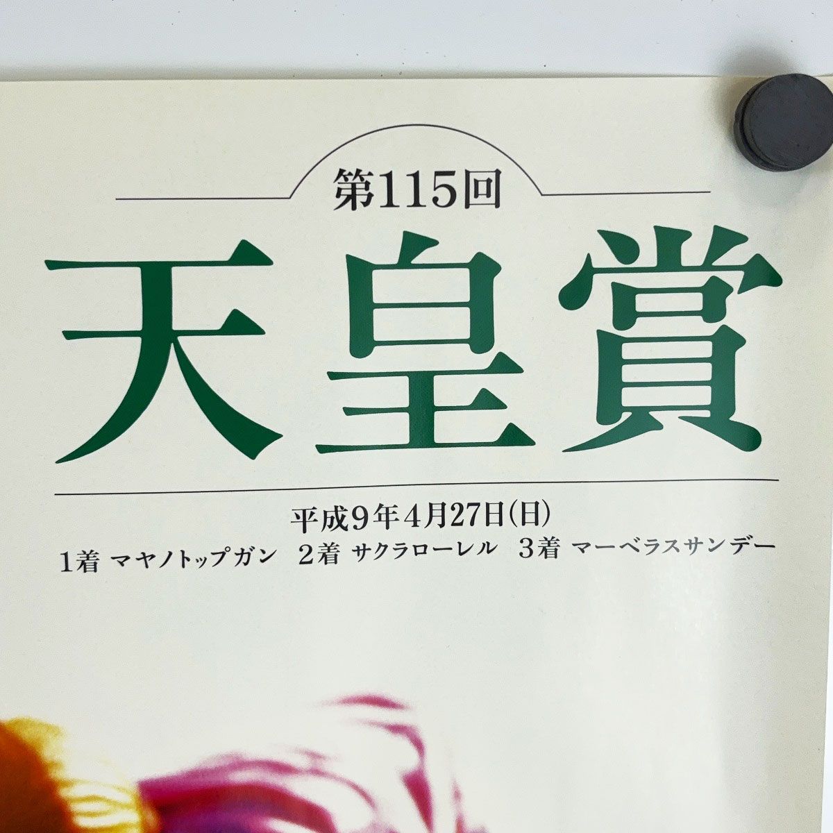 第115回 天皇賞(春) ポスター B2 マヤノトップガン サクラローレル