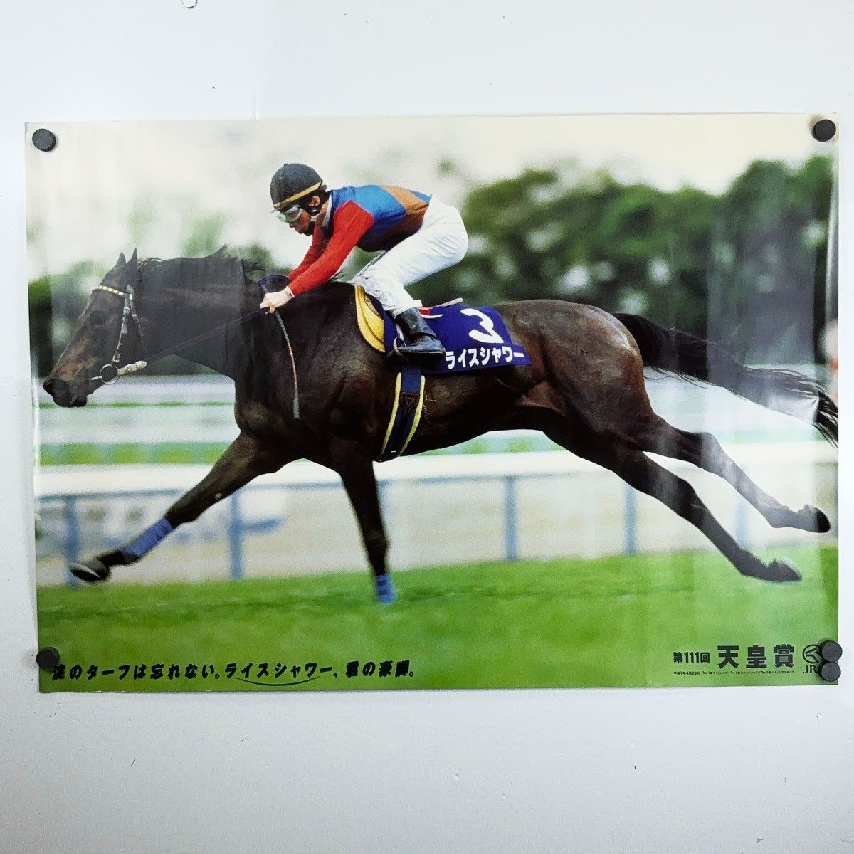 第111回 天皇賞(春) ポスター B2 ライスシャワー ステージチャンプ 