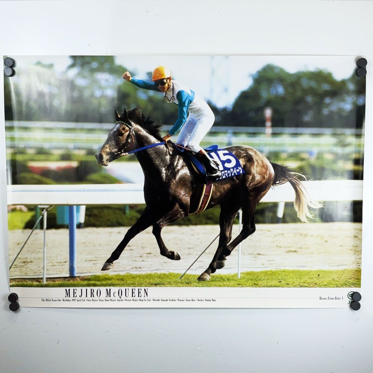 メジロマックイーン ポスター B2 Heroes From Ritto 競馬 JRA - メルカリ