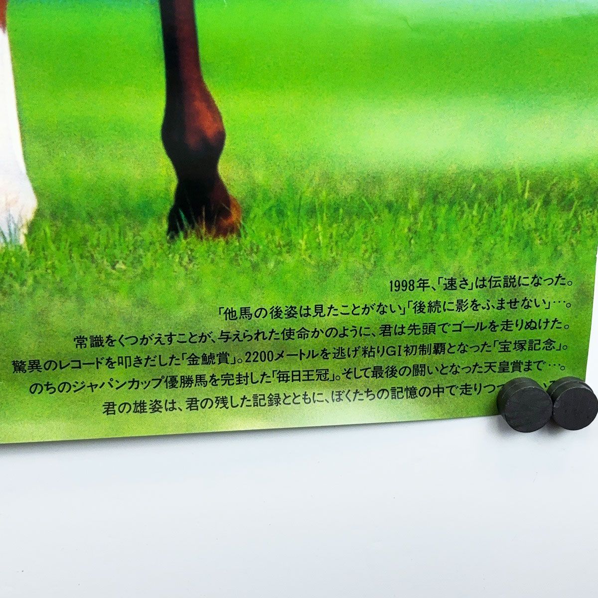 未使用】サイレンススズカ ヒーロー列伝 ポスター B2 競馬 JRA - メルカリ