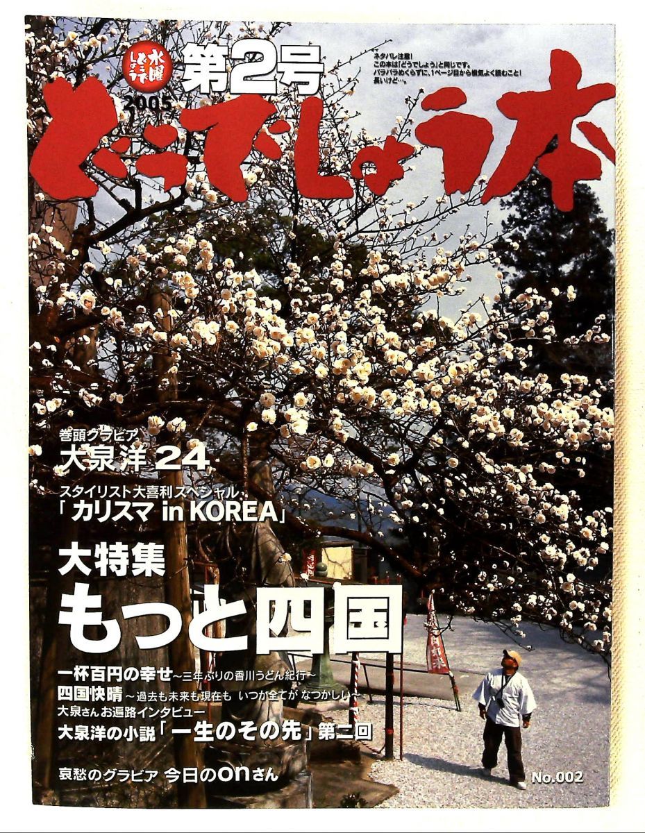 大泉洋 水曜どうでしょう 本 第2号 もっと四国 2005 藤村忠寿 嬉野雅道 
