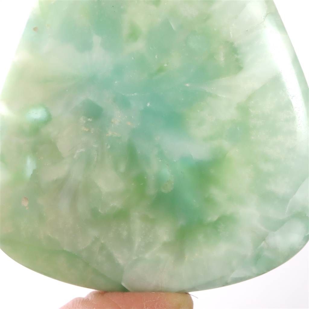 41.5g 榎本通商98935