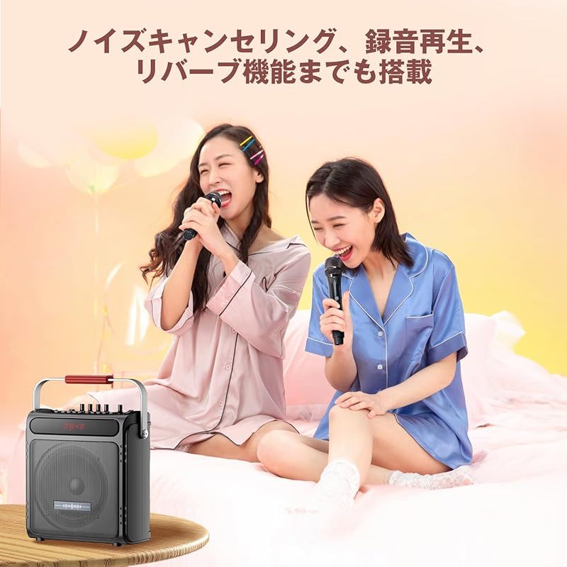 新品★ カラオケ スピーカーセット 充電式 カラオケ (キャンペーン1個のみ) 新品 カラオケ スピーカーセット 充電式 カラオケ (キャンペーン1個
