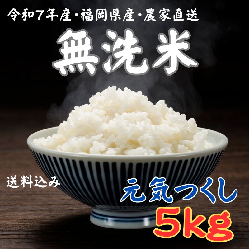 5kg 精米 元気つくし 無洗米 令和7年産 福岡県産ブランド米 元気つくし