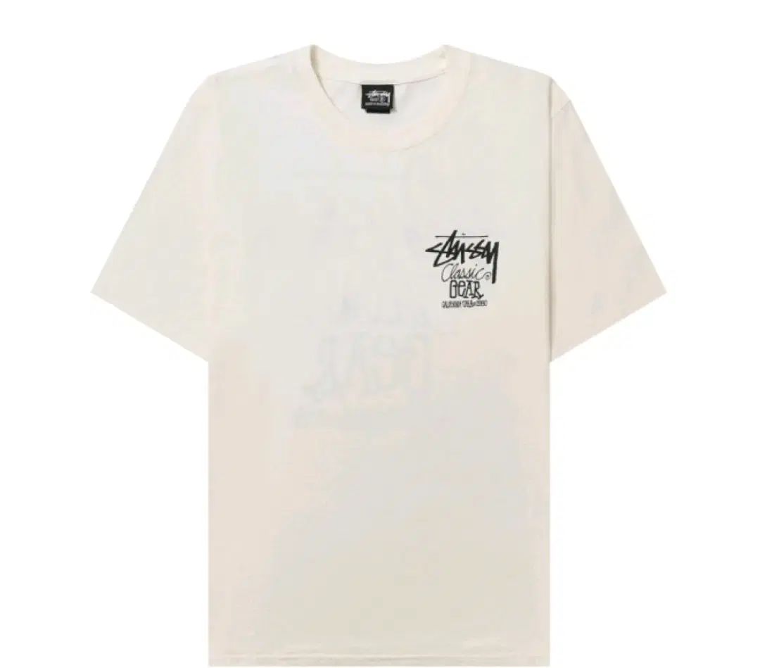 【激レア　ピグメントダイ L】ステューシー フォト タトゥー Tシャツ. STUSSY（ステューシー） Tシャツ 半袖 メンズ Champion Oval Pigment