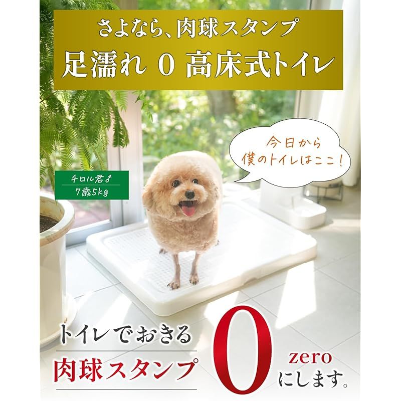 INULABO 犬用トイレ XXLサイズ102×72cm グレー Amazon | INULABO