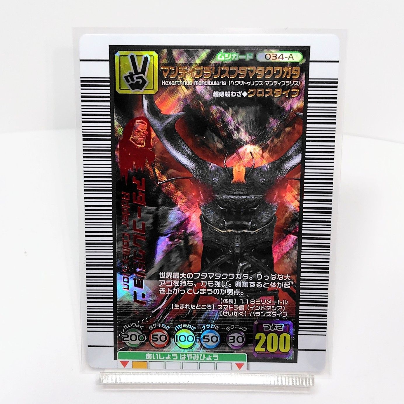 ムシキングカード アダーマンディブラリスフタマタクワガタ2005