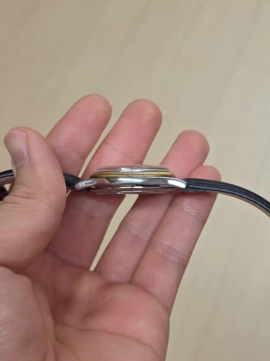 ポインターデイト