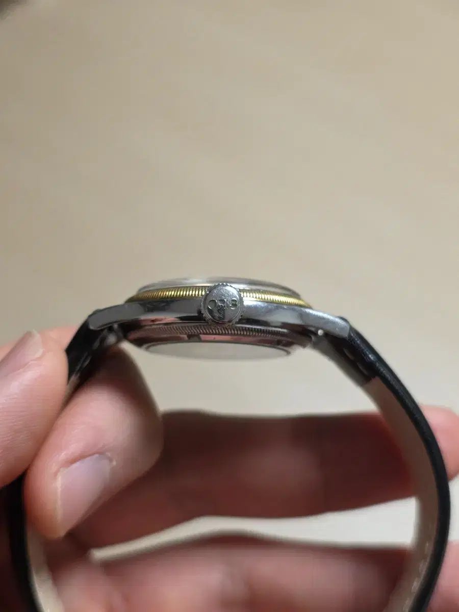 ポインターデイト