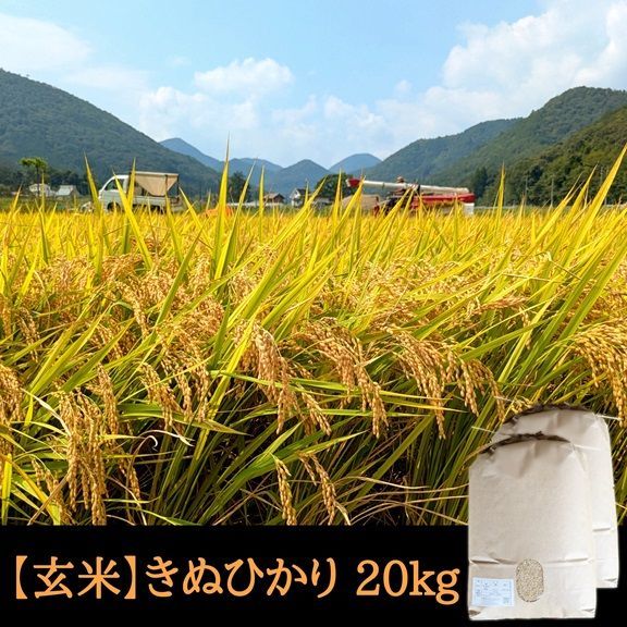 令和7年産 キヌヒカリ 玄米20kg きぬひかり【玄米】 20kg 令和7年産 京都府京丹波町産 【公式通販】