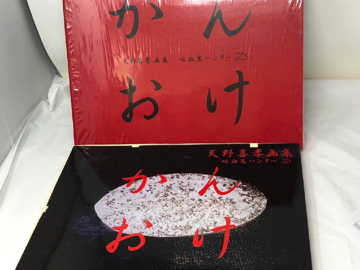 ◇朝日ソノラマ 天野喜孝画集 かんおけ 吸血鬼ハンターD 1997年初版