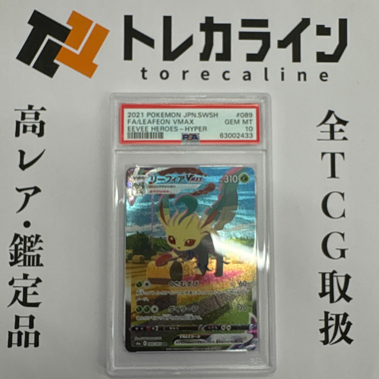 PSA10 リーフィアVMAX HR 　ポケモンカードゲーム 大得価，HOT ポケモンカードゲームリーフィアVMAX HR（089/069