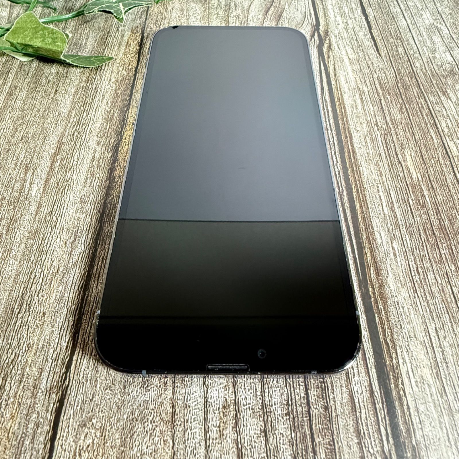 新品バッテリー100%】iPhone 13 Pro Max 256GB シエラブルー SIMフリー 