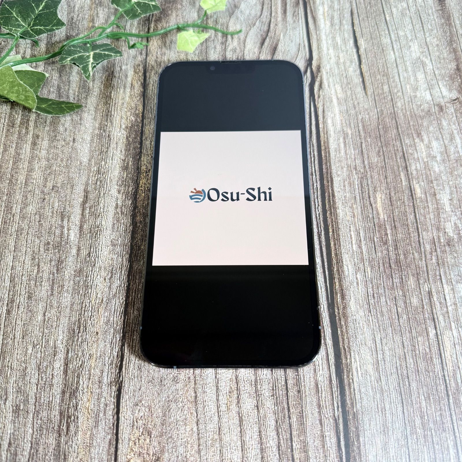 新品バッテリー100%】iPhone 13 Pro Max 256GB シエラブルー SIMフリー 