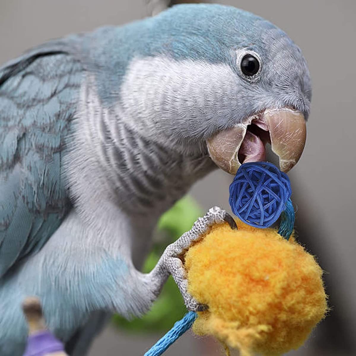 ボール ミニマンチボール おもちゃ 3cmサイズ ペット用おもちゃ インコ
