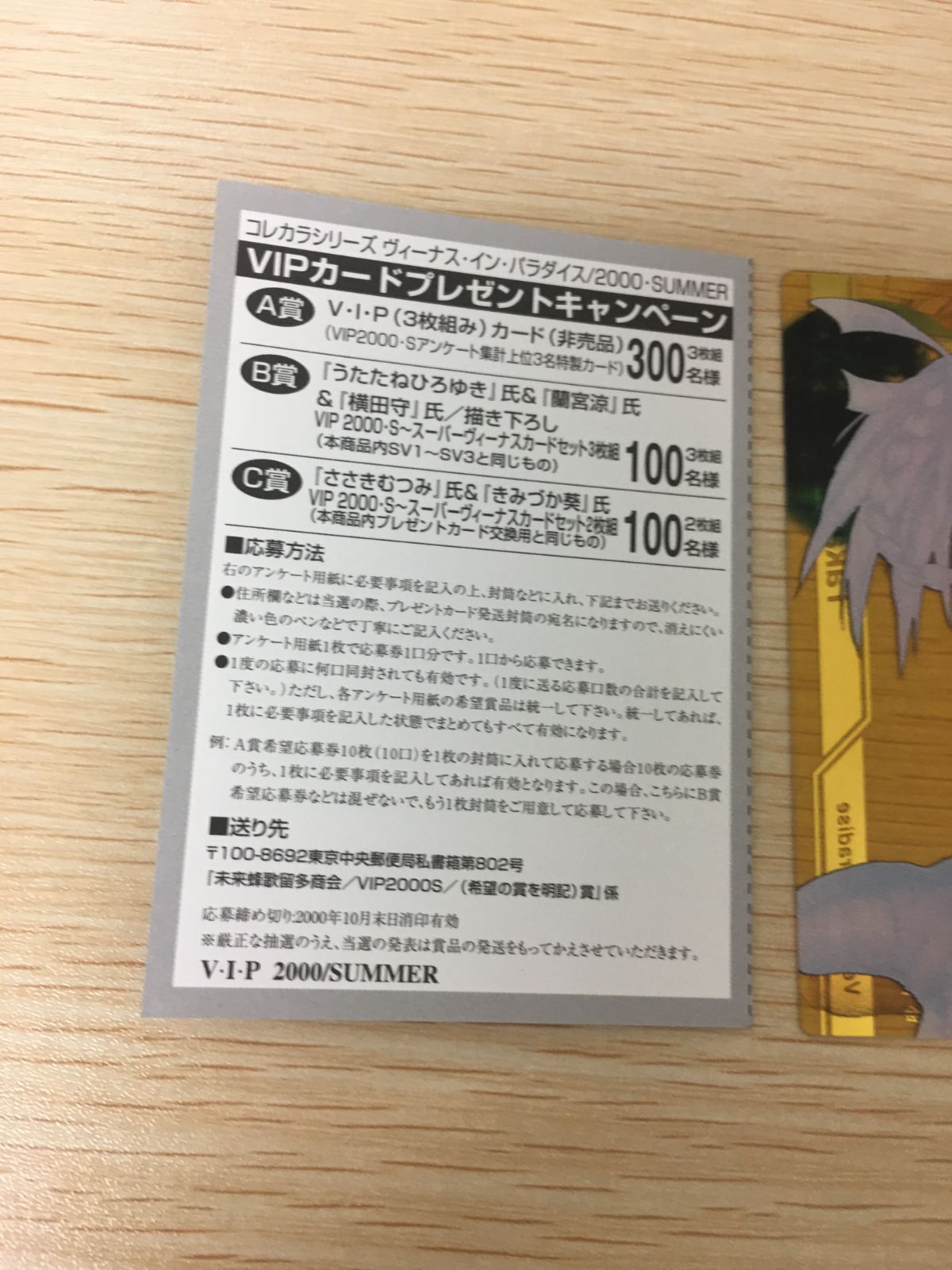V・I・P(Venus In Paradise)VIP 2000/SUMMER INFORMATION V・I・P(Venus In Paradise)VIP 2000/SUMMER INFORMATION