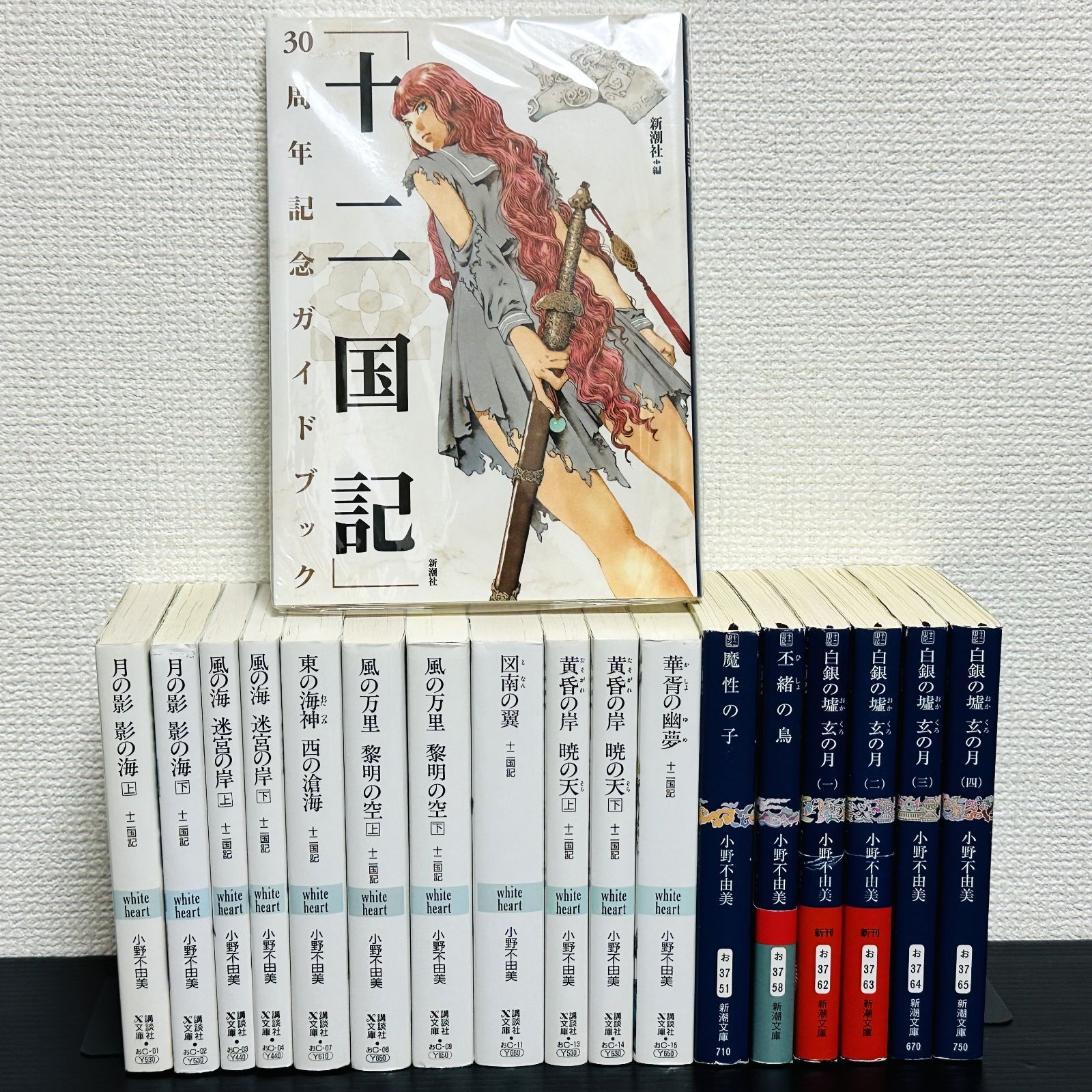 十二国記 全巻セット 白銀の墟 玄の月 【公式通販】