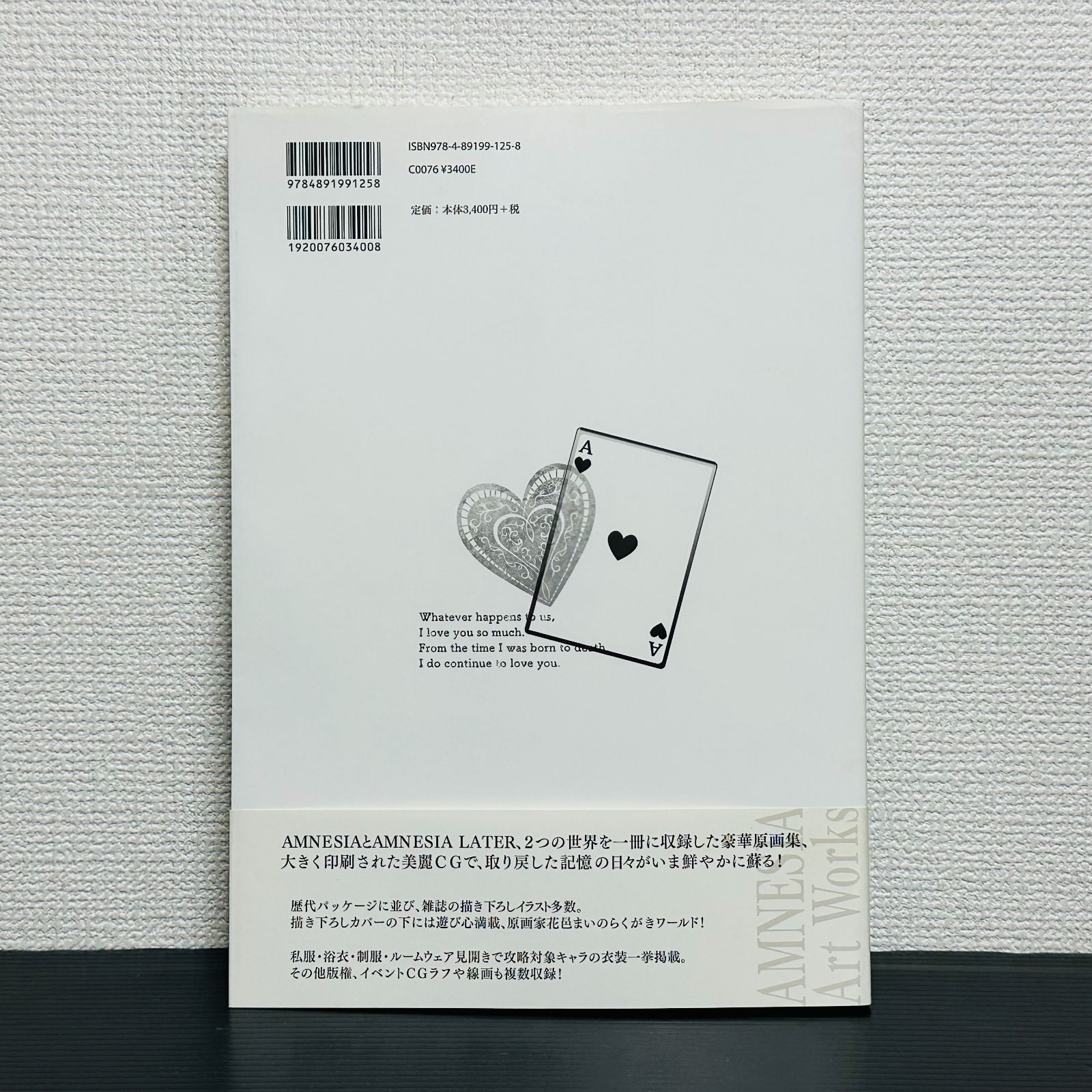 AMNESIA Art Works アムネシア アートワークス 帯 初版 設定資料集 