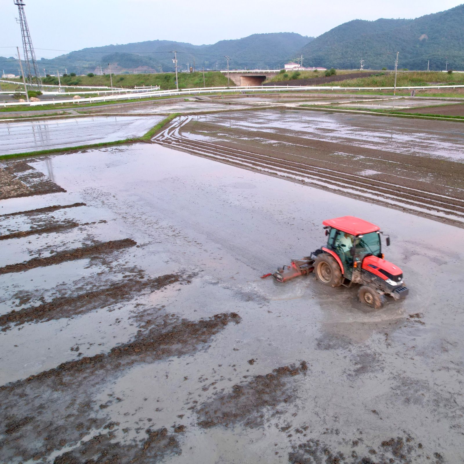 新米】岡山県産 朝日米 玄米 10kg 令和7年産 れんげ緑肥栽培 - メルカリ