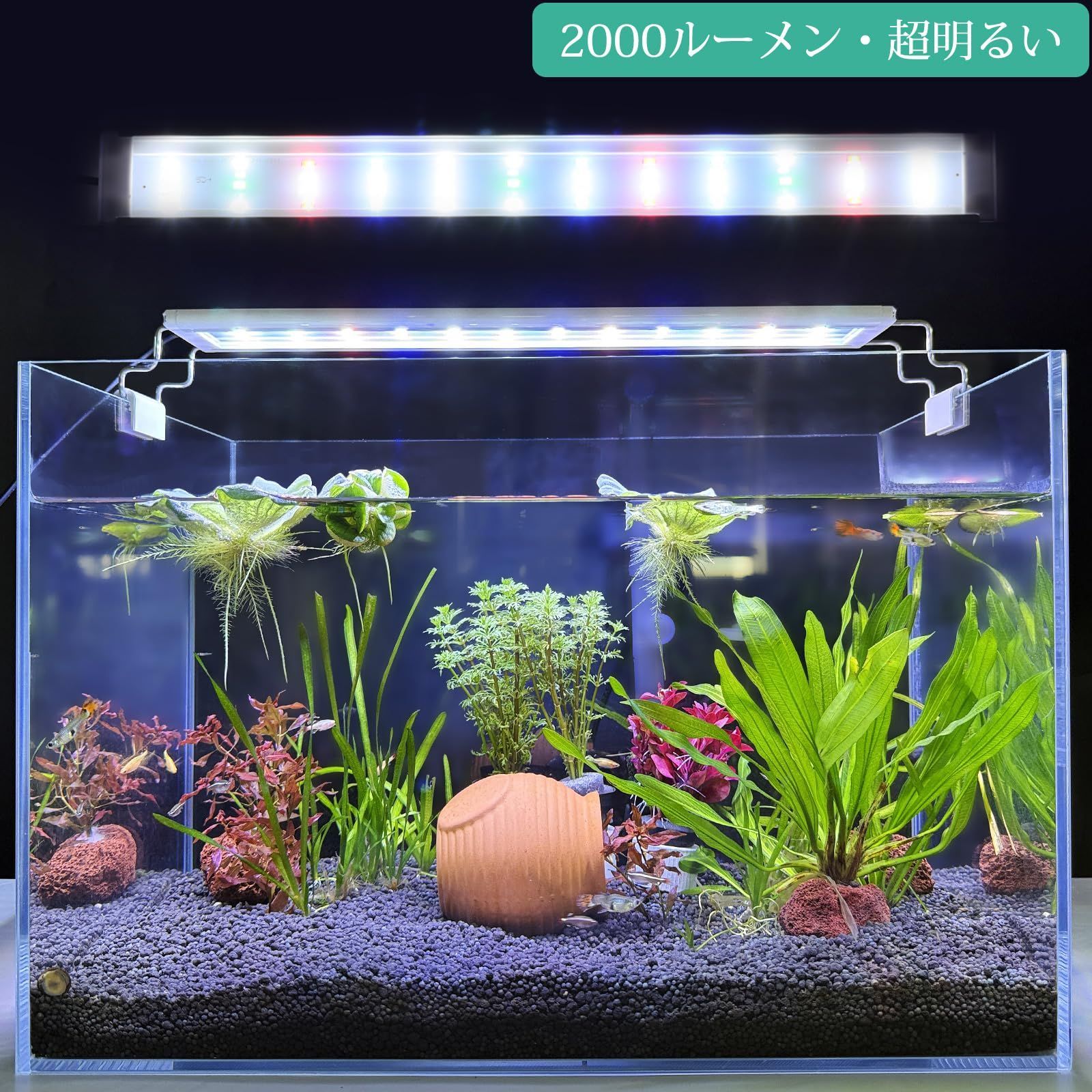 30㎝40㎝60㎝の高輝度水槽ライト、伸縮可能なブラケット付き 30㎝40㎝60㎝の高輝度水槽ライト、伸縮可能なブラケット付き