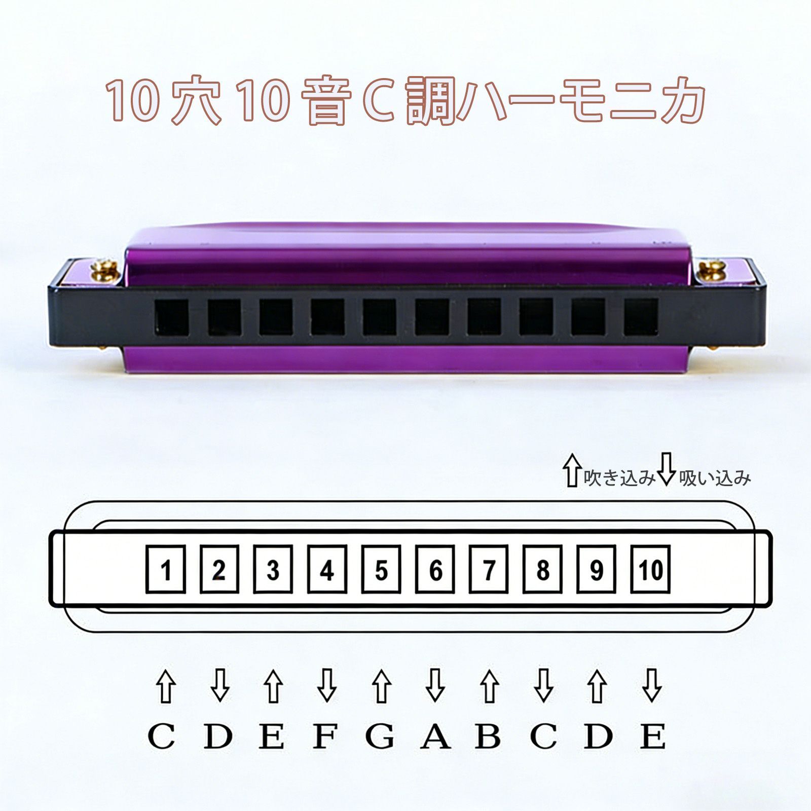 楽器 ハーモニカ ブルースハープ 子供用ハーモニカ C調 10穴 楽器 知育 