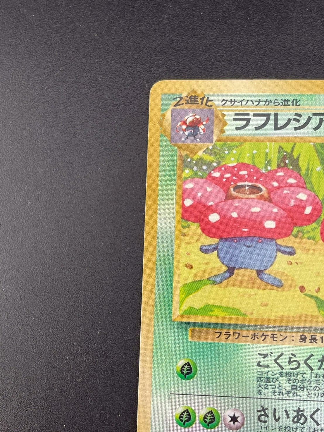 中古品】ラフレシア LV.30 HP70 No.045 旧裏 サザンアイランド 映画