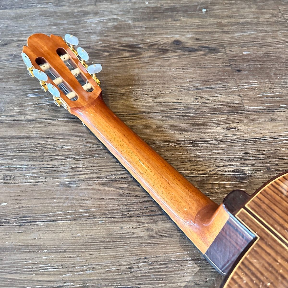 Yukinobu Chai No.15 Alto Classical Guitar クラシックギター 茶位
