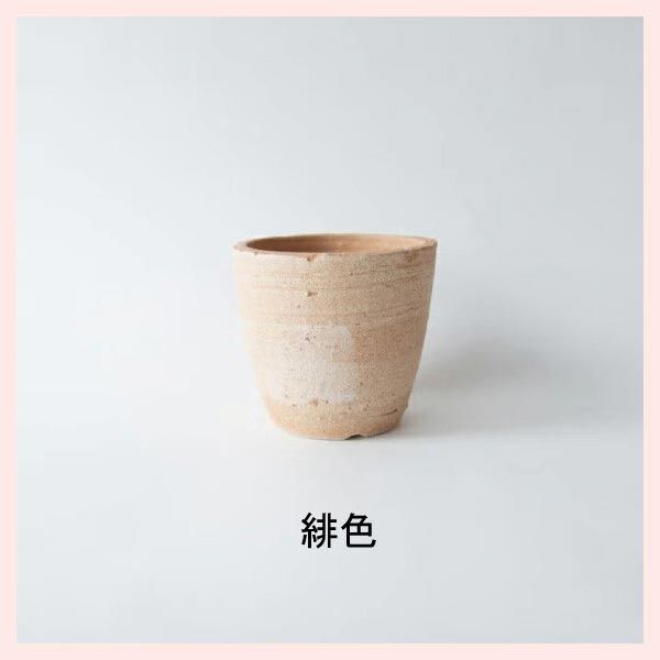 授乳・食事 bubs バブス ヤギ 粉ミルク ステップ2 3缶セット