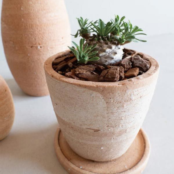 錦鉢、鶴と波模様 陶器製 植木鉢 三足付 Amazon.co.jp: 植木鉢