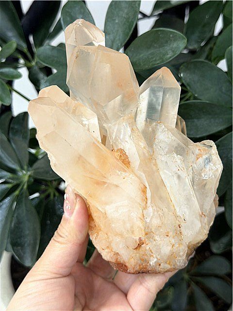 1150g ◇超強いパワーヒマラヤ産天然水晶クラスターYT10B6/230B24A