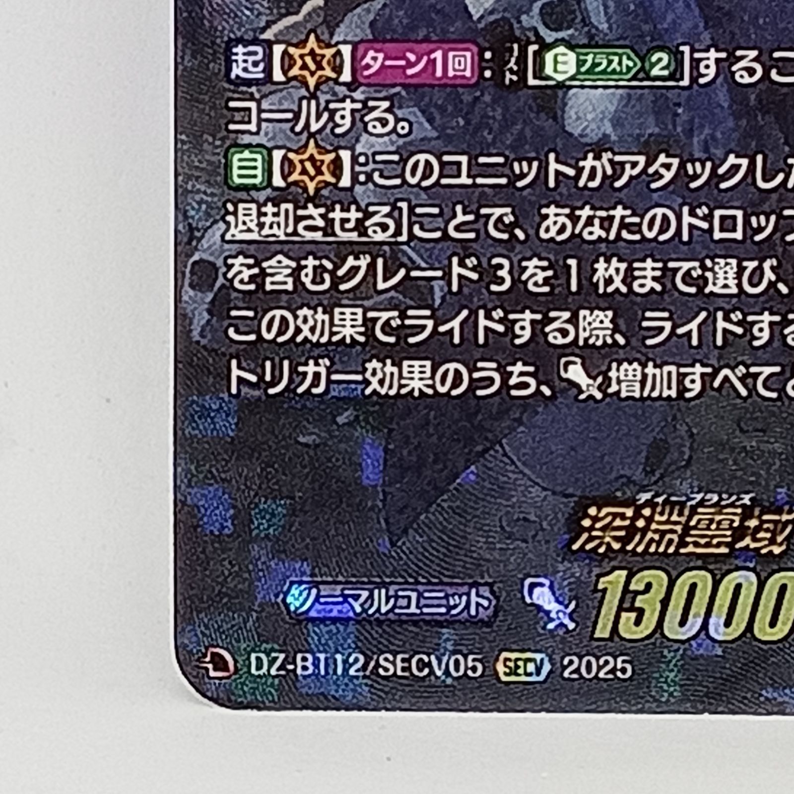 深淵霊域レグルレグナス（SECV） - メルカリ