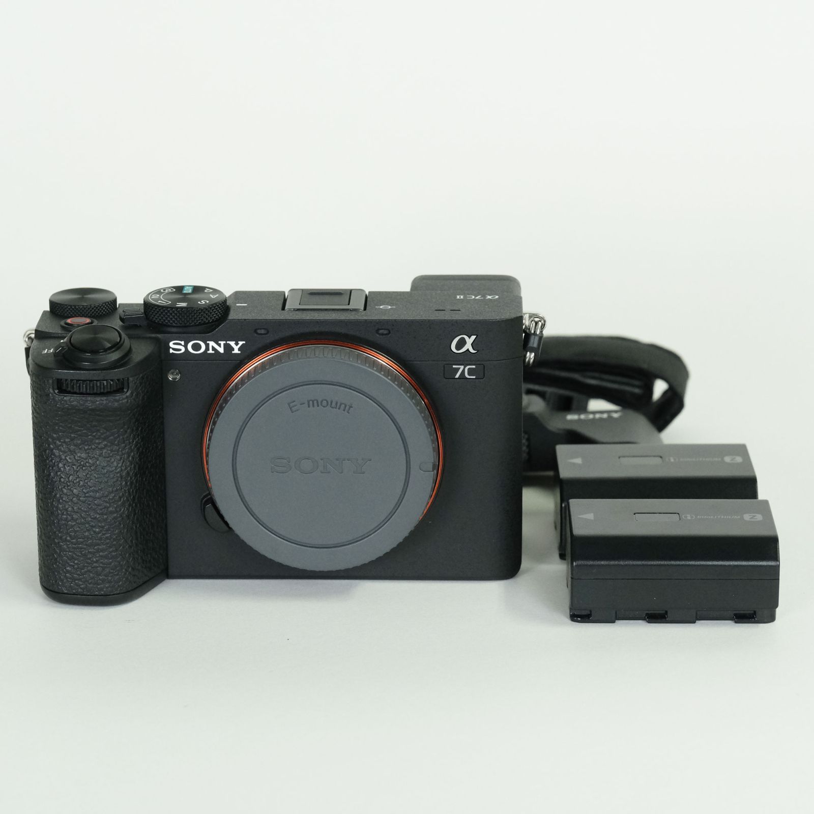 美品 | シャッター数2,799回｜バッテリー2個・グリップ 
