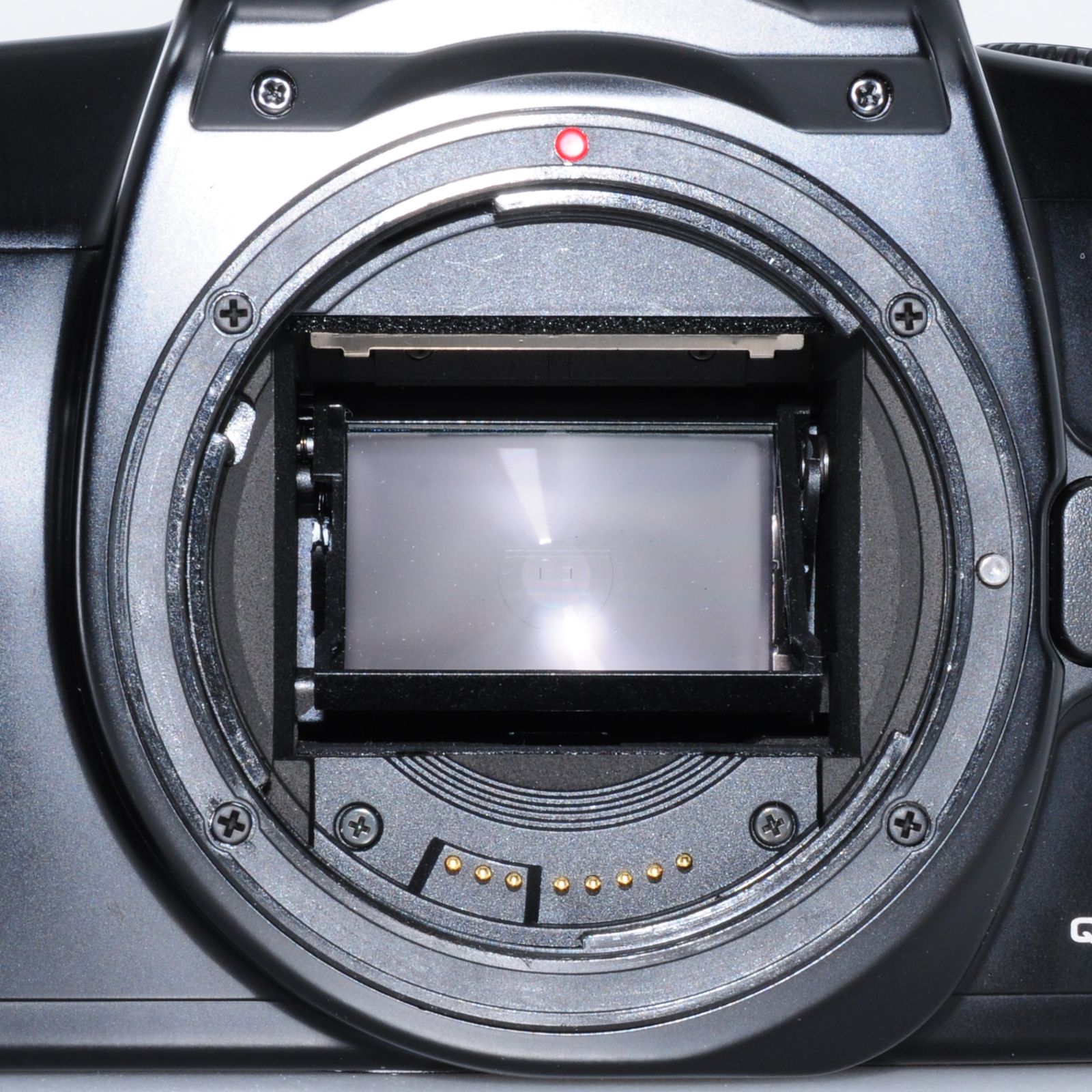 キヤノン】Canon EOS 1000S + SIGMA 35-80mm F4-5.6 EFマウント ズーム