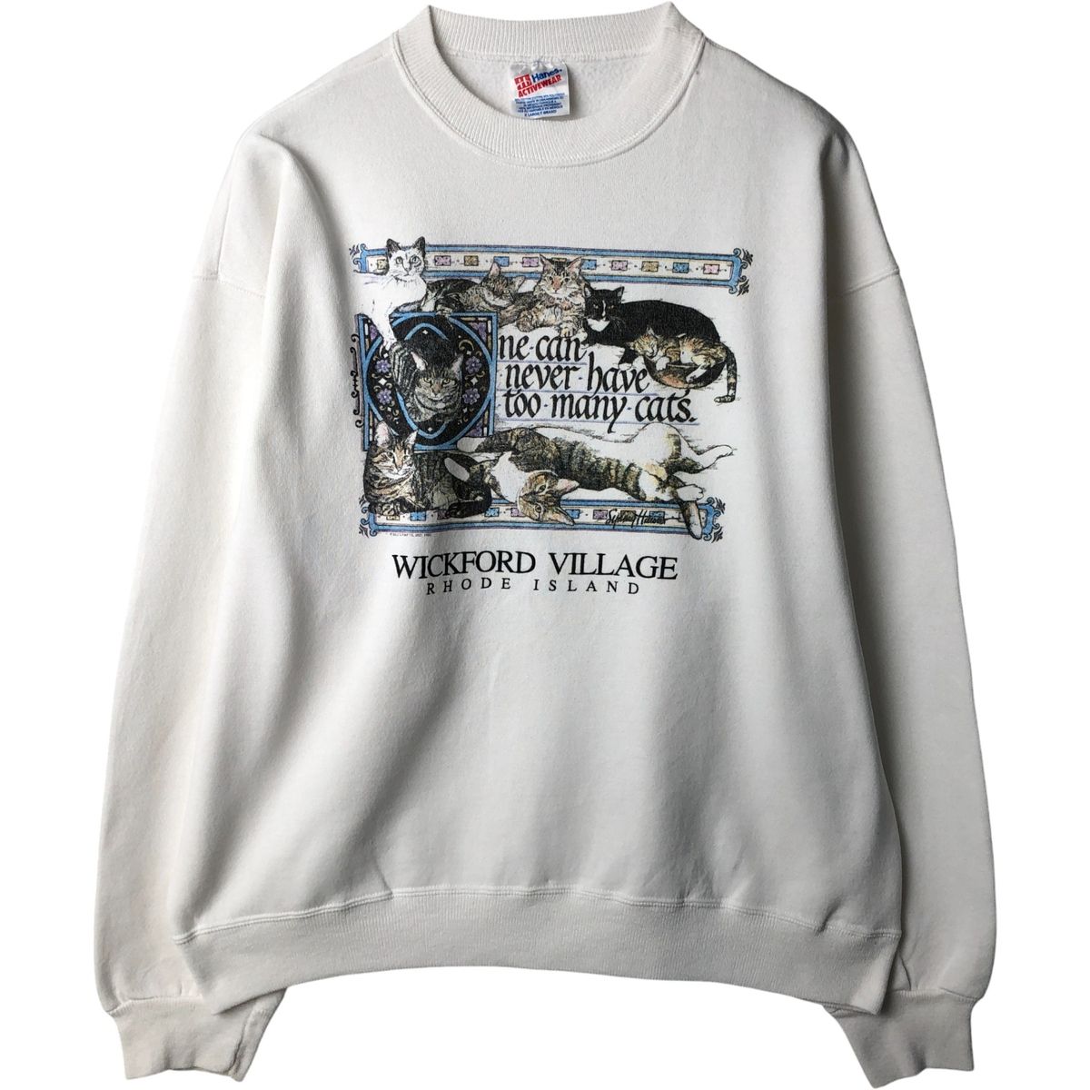 古着 80年代 ヘインズ Hanes ACTIVEWEAR プリントスウェットシャツ 