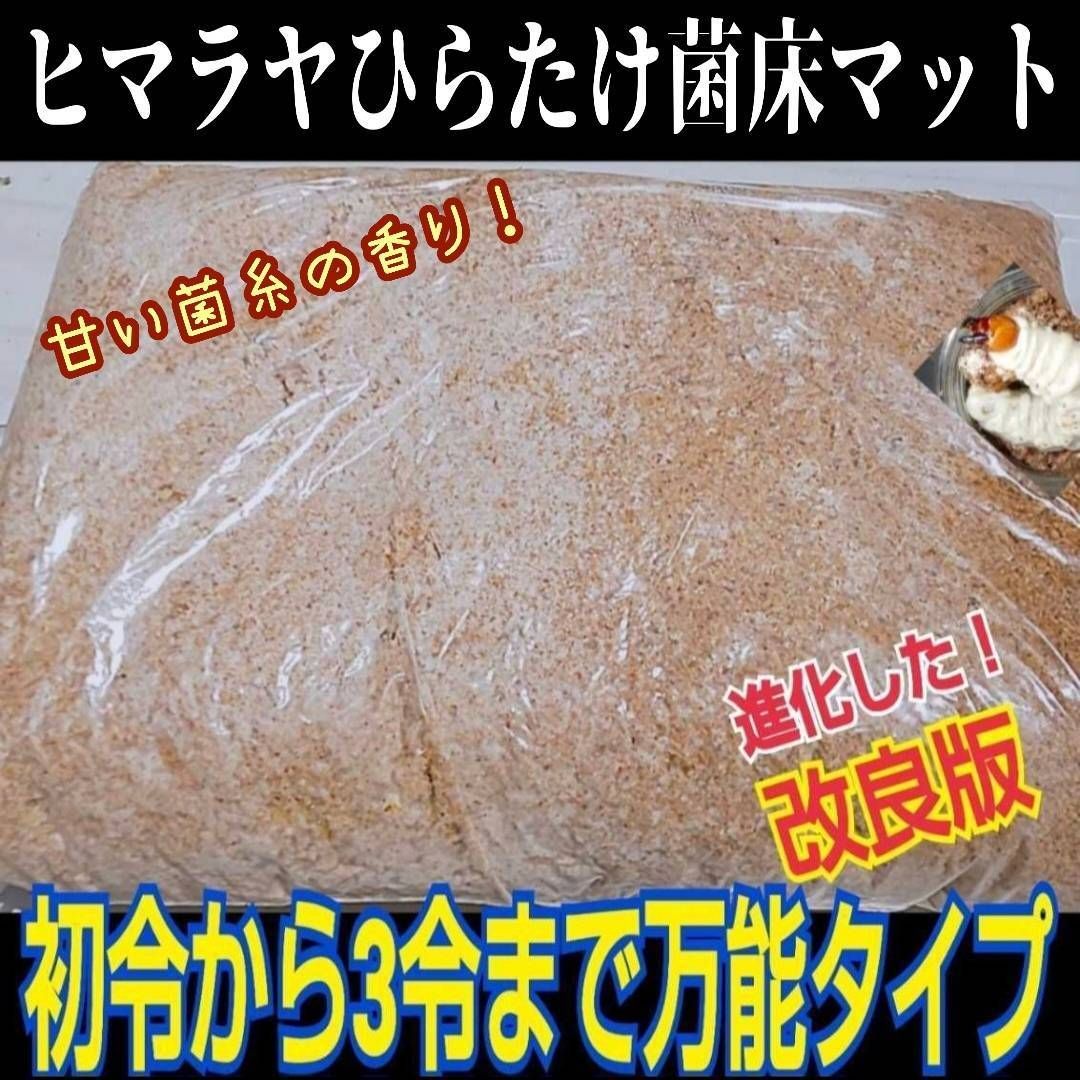 クワガタの幼虫専用! ヒマラヤひらたけ菌床粉砕マット【5 クワガタの幼虫専用! ヒマラヤひらたけ菌床粉砕マット【5