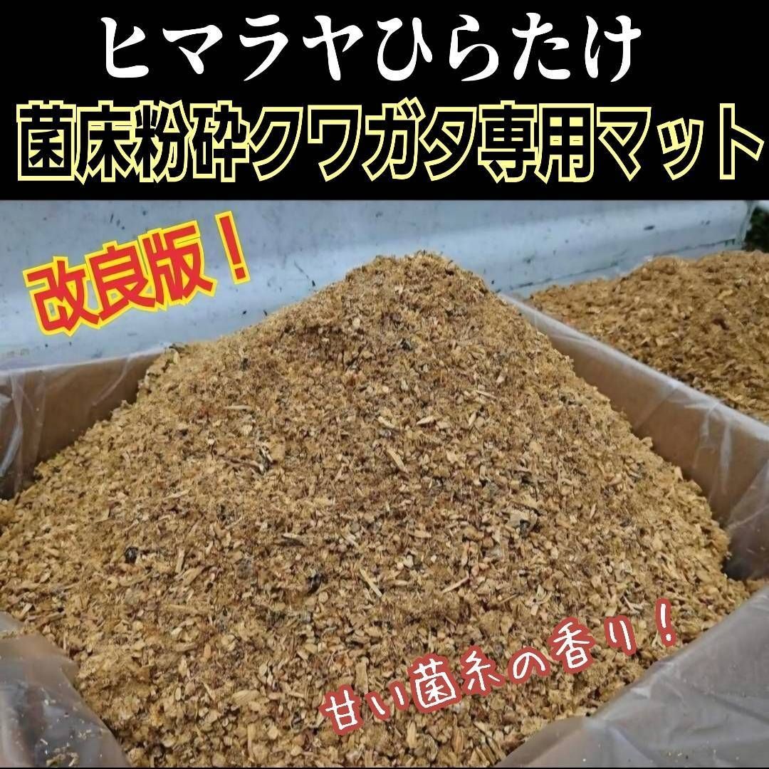 クワガタの幼虫専用! ヒマラヤひらたけ菌床粉砕マット【5 クワガタの幼虫専用! ヒマラヤひらたけ菌床粉砕マット【5