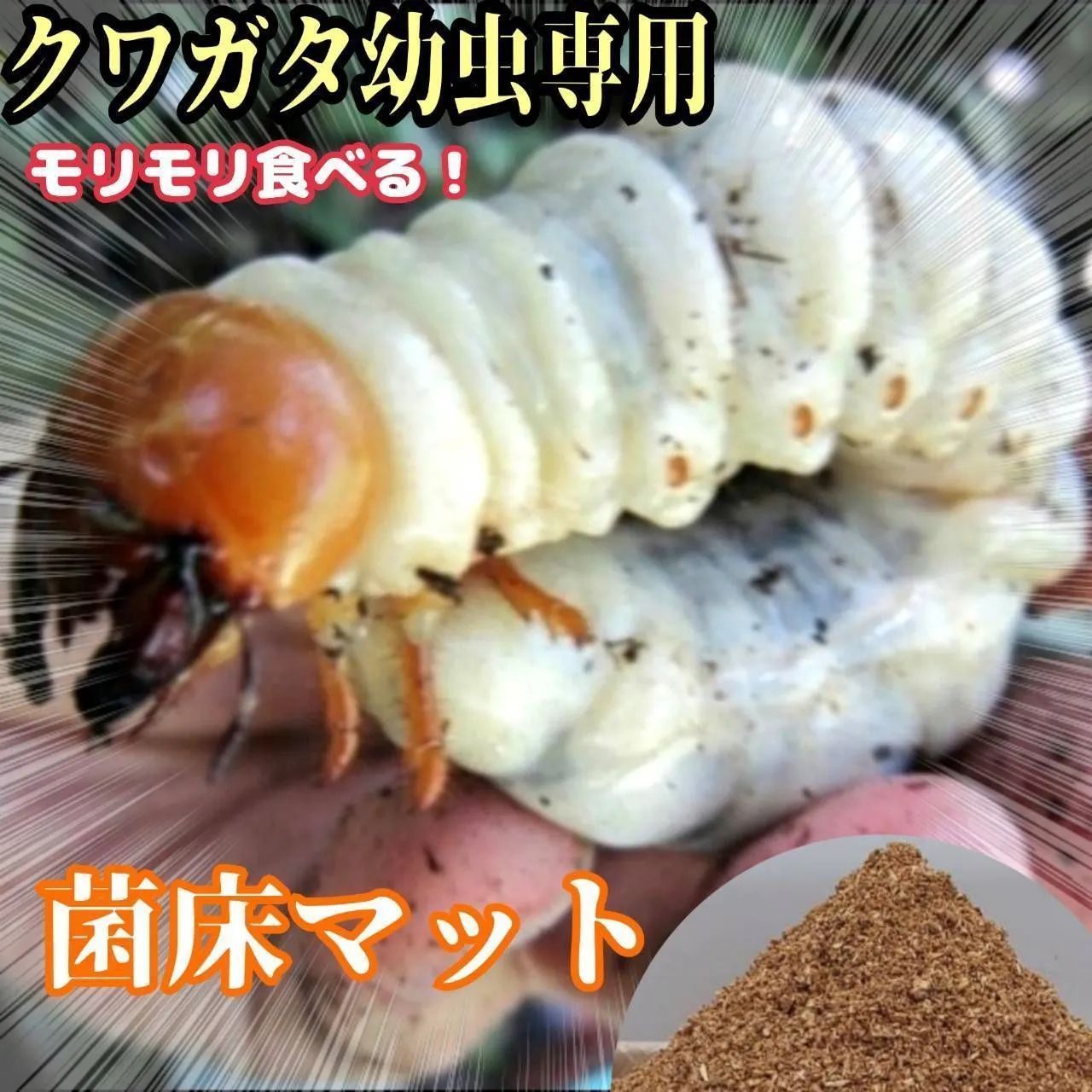 菌糸系のクワガタ幼虫専用☆菌床粉砕マット☆瓶やプリンカップに詰める 