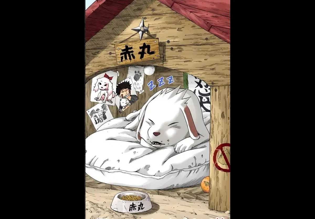NARUTO -ナルト- 漫画 16 45 巻 購入したいです 【公式通販】
