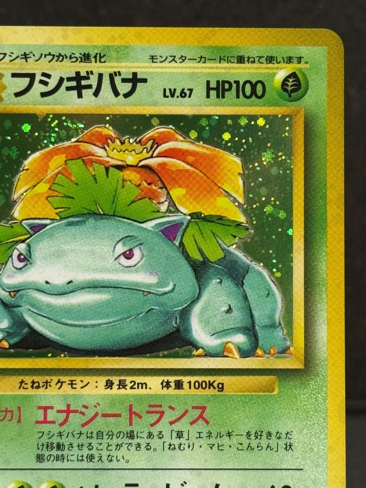 旧裏】フシギバナ マークあり LV.67 第1弾再版 ☆ No.003 ポケモン