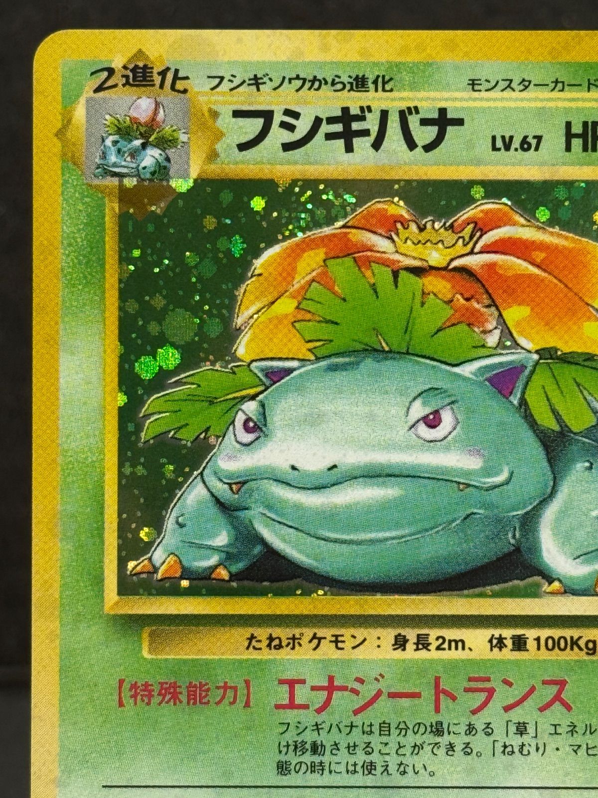 旧裏】フシギバナ マークあり LV.67 第1弾再版 ☆ No.003 ポケモン