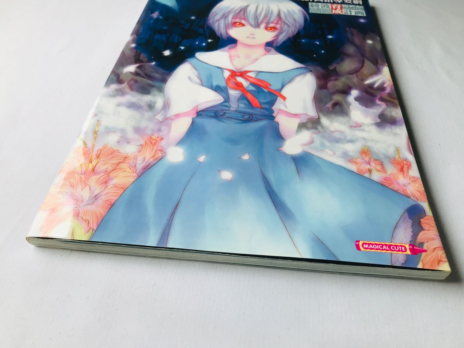 新世紀エヴァンゲリオン 綾波育成計画 公式攻略本 ガイド 指導要綱 CD 