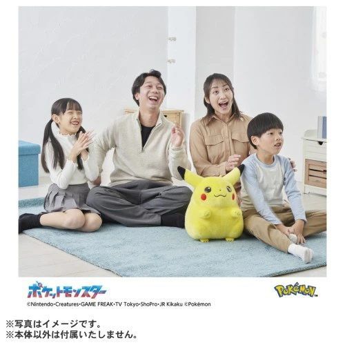 ポケモン30周年記念 おかえり！ピカチュウ1/1 ポケットモンスター