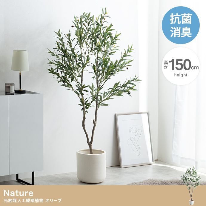 ♪光触媒 人工観葉植物 オリーブ ［高さ150cm］　　　　観葉植物 フェイクグリーン 人口観葉 抗菌 消臭