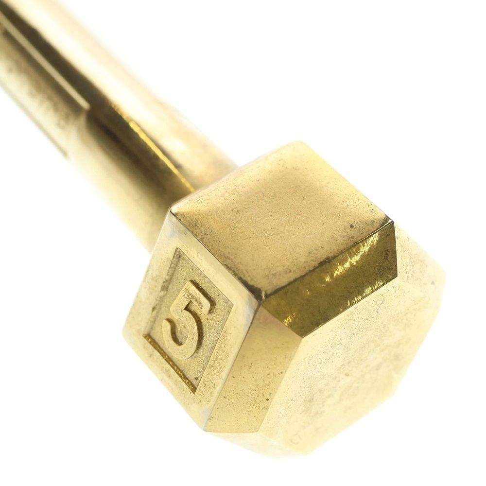 SUPREME (シュプリーム) 19AW Plated Dumbbell 5KG プレーテッド