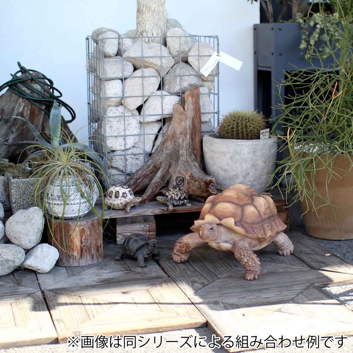 オブジェ インドホシガメ ペットバンク 貯金箱 （ 置物 動物 雑貨