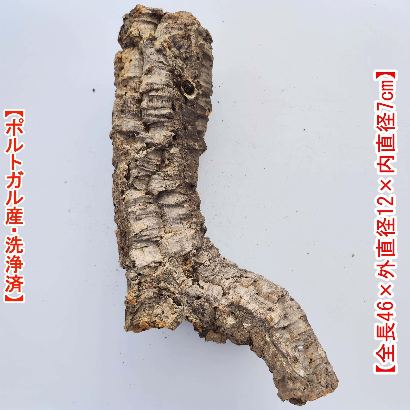 楽天市場】【cork-S2】バージンコルク コルク樹皮 Sサイズ 縦30-35 横7