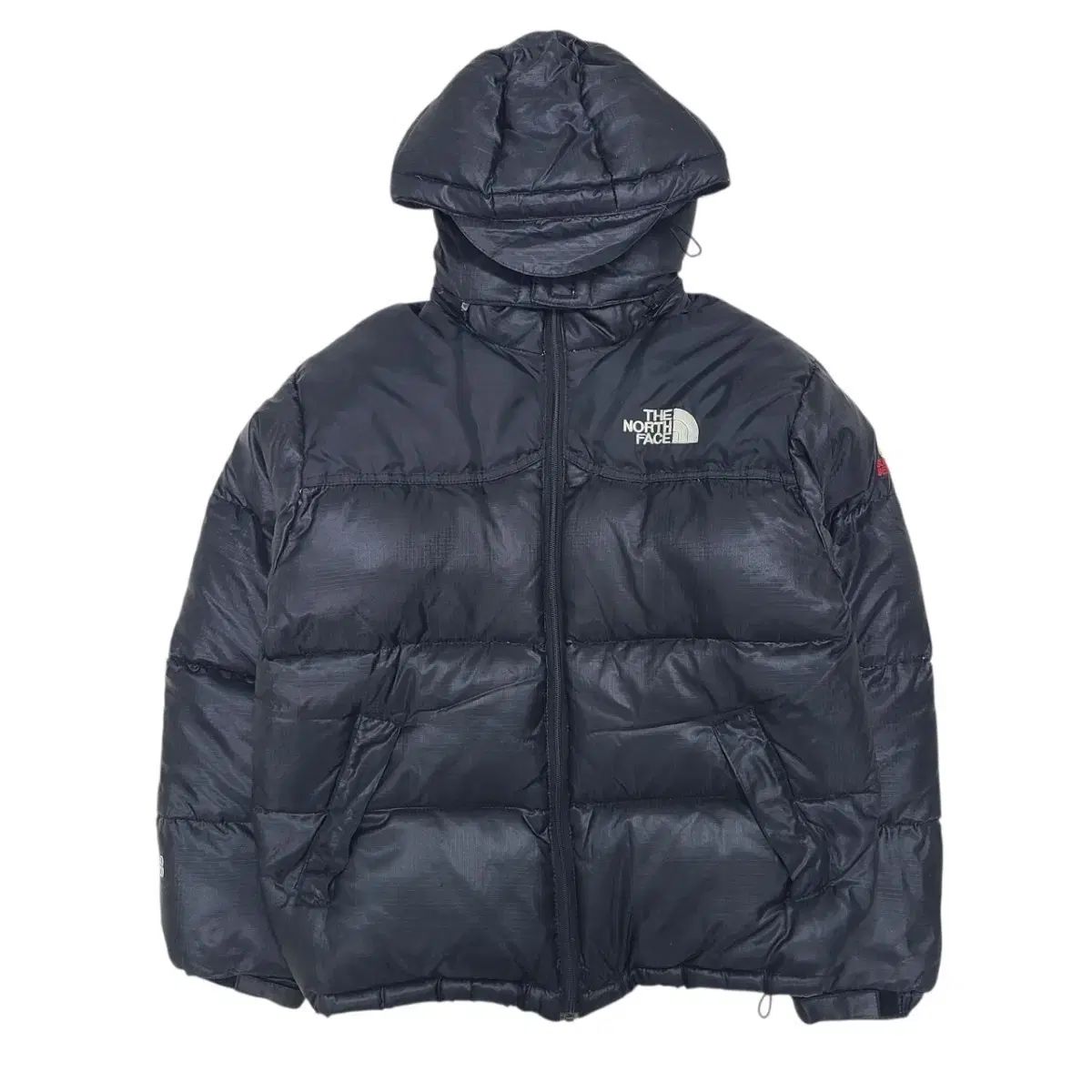 THE NORTH FACE ザノースフェイス サミットシリーズ 900LTD ダウン 